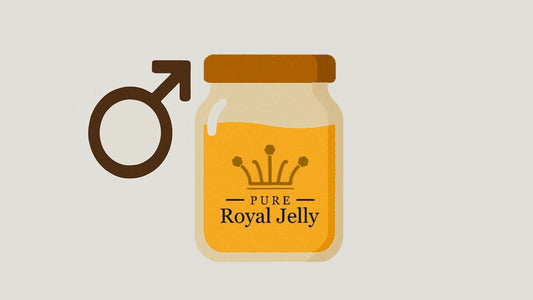 Benefits of Royal Jelly For Men