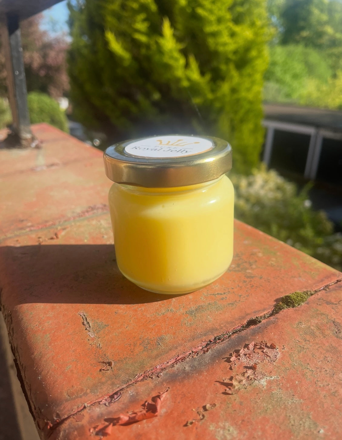 pure royal jelly